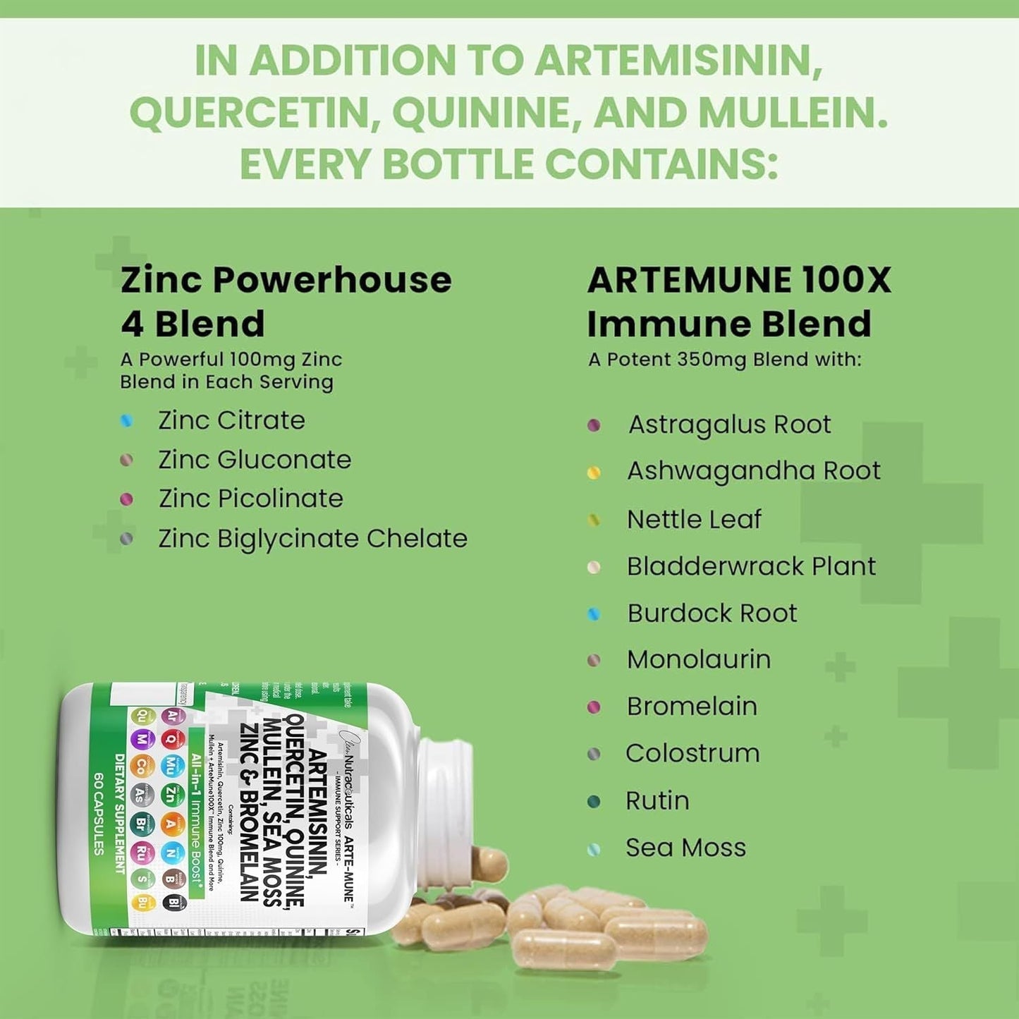 ArteImune | Fortalece tus defensas con Artemisinina, Quercetina y Bromelina