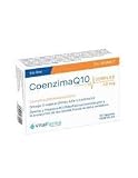 Coenzima Q10 Vitalfarma 40 mg 30 Cápsulas – Pack de 2 Unidades (60 Cápsulas en Total), Formato Ahorro de Alta Biodisponibilidad para la Vitalidad Mitocondrial, la Energía Celular y el Soporte Cardiova