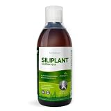 G7 Siliplant Silicio Líquido Bebible 500 ml Complemento Alimenticio Vegano | silicio vegetal, líquido bebible, biodinamizado, complemento alimenticio vegano, 500 ml, alta pureza