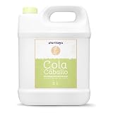 PLANTAWA Cola de caballo 5L | Solución Natural para el Refuerzo y Cuidado de Superficies | Fácil Aplicación | Acción Eficaz y Seguro | Producto de origen natural