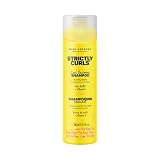 Las mejores **marcas de champús**: análisis y comparativa de los productos de belleza más recomendados