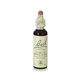 Star of Bethlehem Flores de Bach 20 ml de Flores De Bach Originales