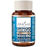 Ginkgo Biloba Estado Puro 6500mg | Extracto Estandarizado y Máxima Concentración | 24% de Flavonoides y 6% de Terpenos | Memoria y Concentración + Circulación | 40 Cápsulas de Tongil