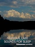 Sonidos tranquilos de lago para dormir 8 horas