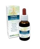 Clematis o Clemátide (Clematis vitalba) Flores emocionales o Flores de Bach Naturalma - Gotas 30 ml - Extracto hidroalcohólico líquido - Vegano - Fórmula original con Brandy