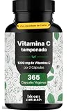 Vitamina C 1000 mg Tamponada*, 365 Cápsulas Veganas | *1.000 mg por 2 Cápsulas, 500 mg por Cápsula de Calcio L-Ascorbato, Sin Gluten y OGM, Analizado en Laboratorio