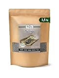 Biojoy Lentejas beluga BIO, secas y enteras, lentejas negras, 1,5 kg