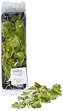 Cilantro - 40 g