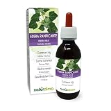 Hiedra común o Hiedra trepadora (Hedera helix) hojas Tintura Madre sin alcohol Naturalma - Extracto líquido gotas 120 ml - Complemento alimenticio - Vegano