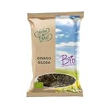 Infusión de Ginkgo Biloba: análisis y comparativa de las mejores opciones para la belleza