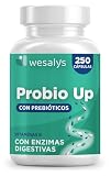Probióticos y Prebióticos Intestinales, 250 Cápsulas (4 meses), 20 Cepas Bacterianas + Inulina, 20 Mil Millones UFC, Lactobacillus, Bifidobacterium, Máxima Concentración