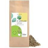 Gordolobo (Planta): análisis y comparativa de los mejores productos de belleza para aprovechar sus beneficios