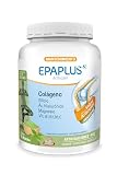 EPAPLUS Arthicare Colágeno en Polvo Té Matcha con Magnesio, 30 Días | Complemento alimenticio con colágeno, ácido hialurónico, magnesio, silicio y vitaminas B1, B2, B6 y C para articulaciones