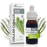 Cola de Caballo: Comparativa de Extractos y Análisis de los Mejores Productos de Belleza