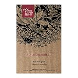 Fenogreco azul (Trigonella caerulea) - aprox. 400 semillas