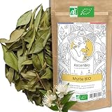 Ascenbio ✿ Hojas de mirto enteras orgánicas ✿ 180 g ✿ Té de hierbas Relajación Digestión ✿ Preparado y envasado en Francia ✿ Embalaje biodegradable