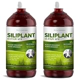 Pack 2 x Silicium G7 Siliplant 1 L (2 L total) – Gel corporal tópico con silicio, textura ligera y absorción rápida, ideal para masaje diario en articulaciones y músculos