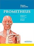Prometheus. Poster de anatomia: Huesos y músculos