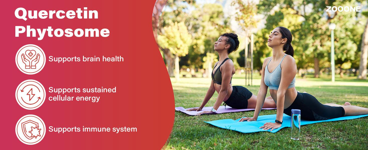 ZOOONE NR1000 - Mezcla de bebida sabor bayas de NAD+ para el apoyo al envejecimiento de la piel, energía y enfoque - Paquete de 30