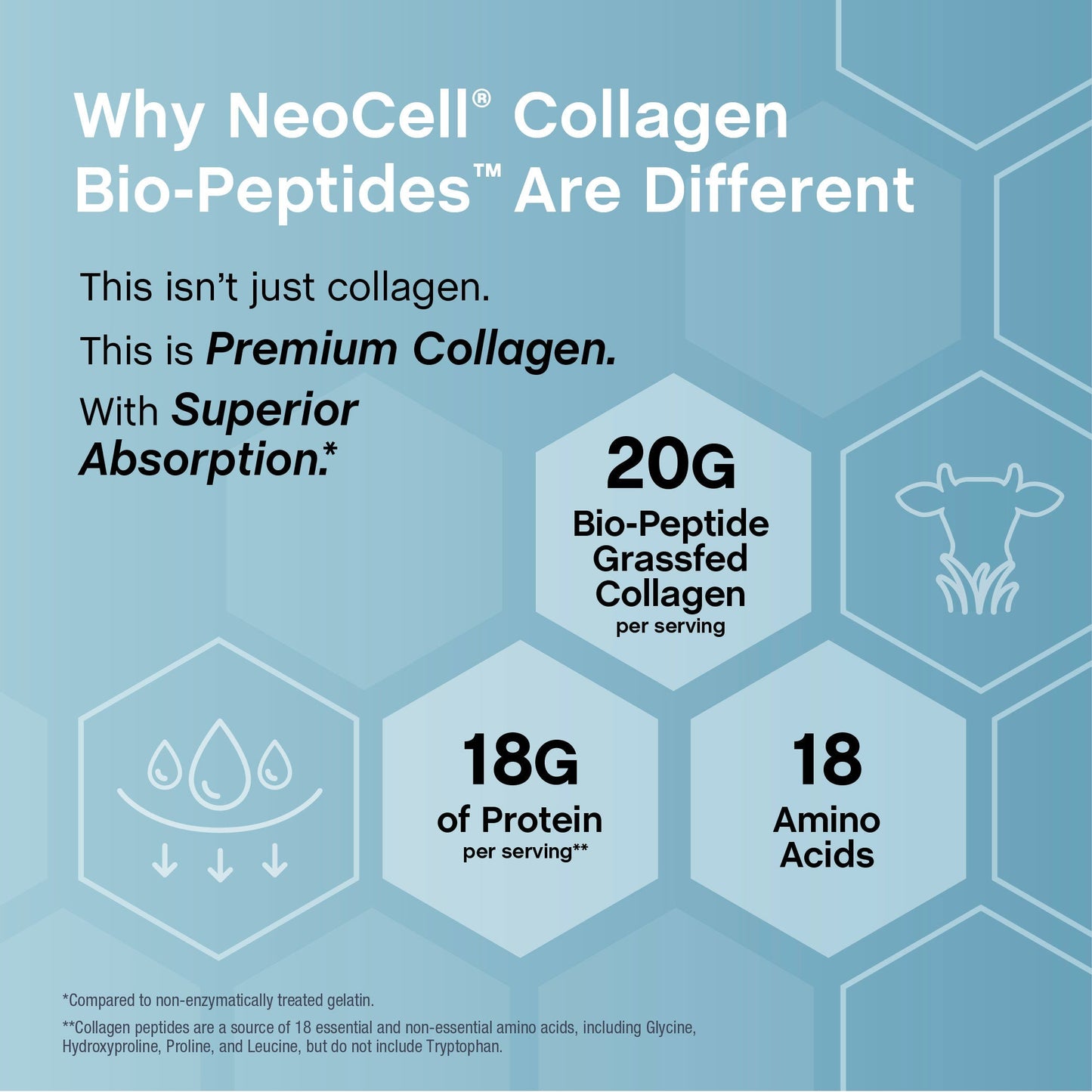 Proteína En Polvo Collagen Bio-Peptides