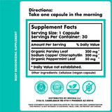 BodyFresh | Suplemento Desodorante para Todo el Cuerpo