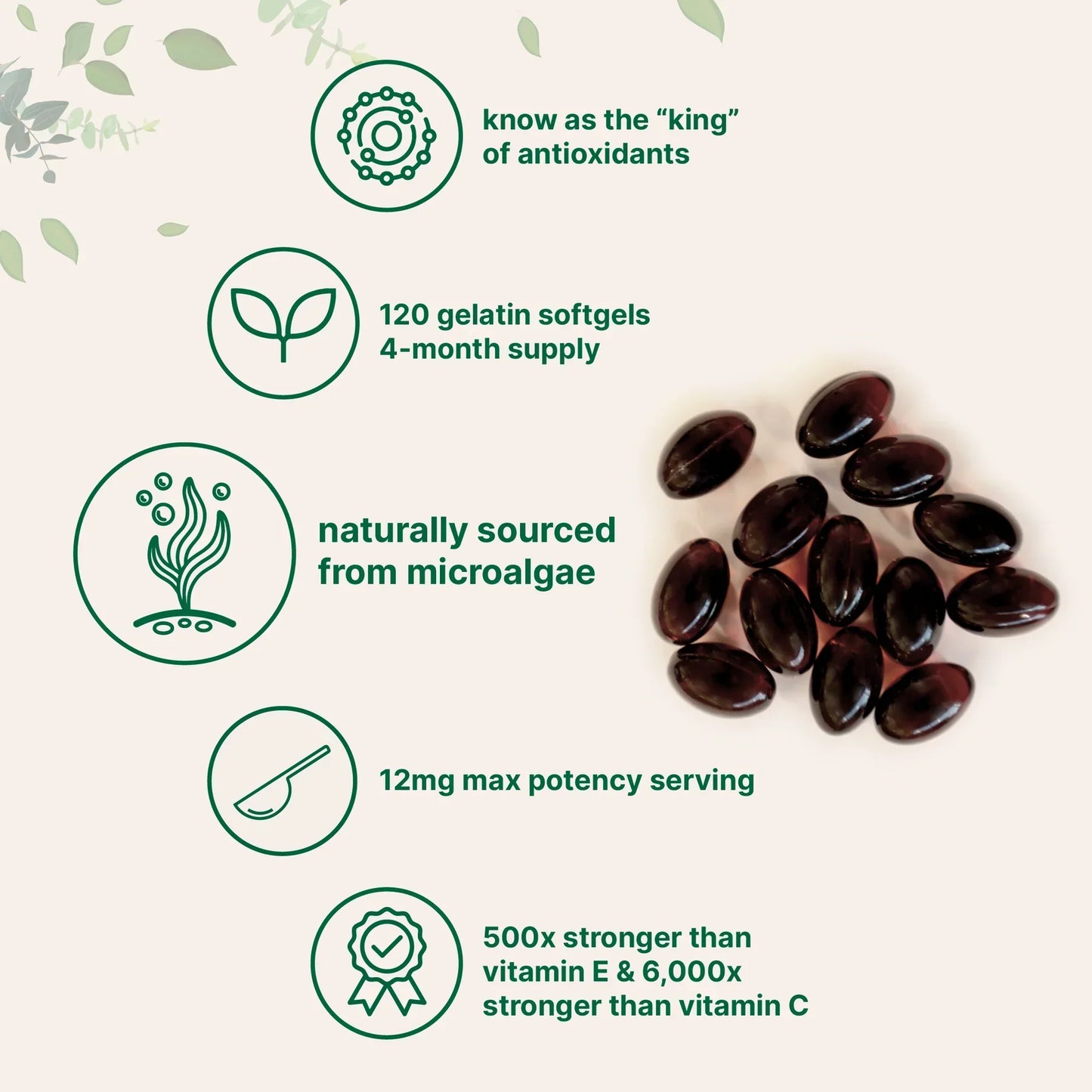 Cápsulas De Astaxantina 12 mg | Apoyo Antioxidante