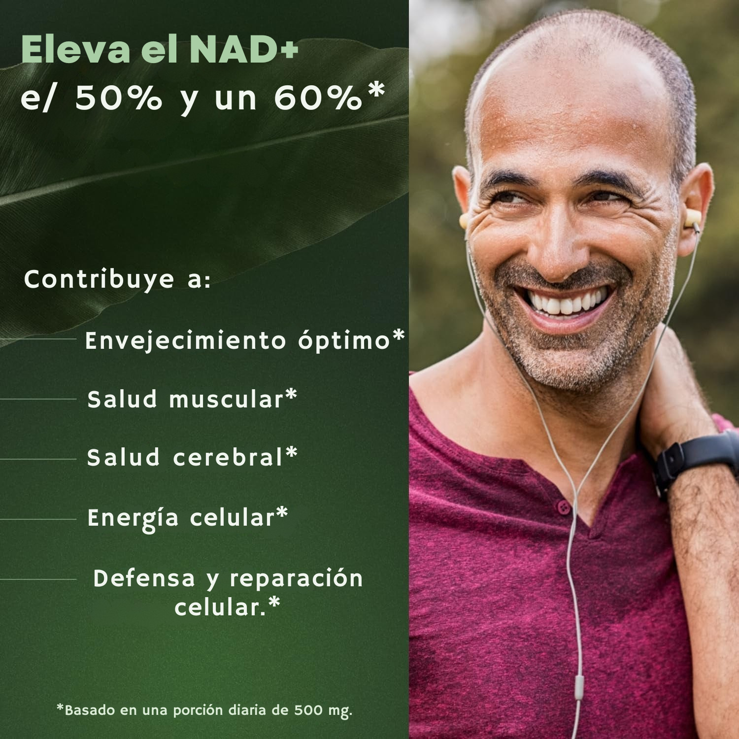 NADVital | NAD+ de Alta Pureza Anti-Envejecimiento