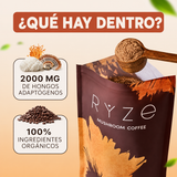 CoffeeMush | Café de Hongos