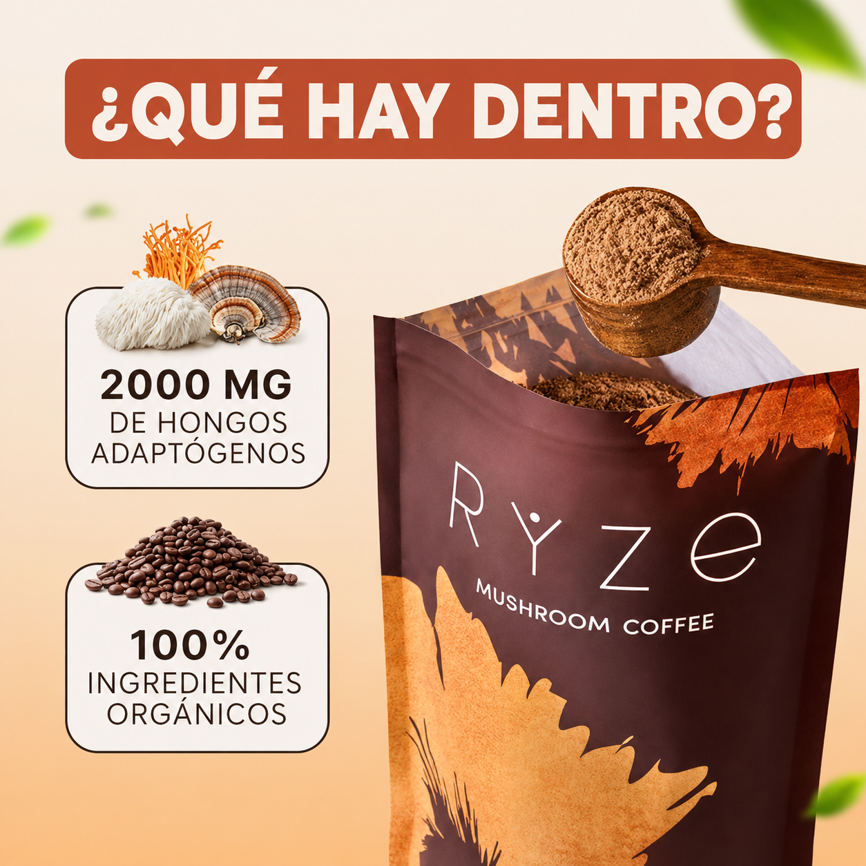 CoffeeMush | Café de Hongos