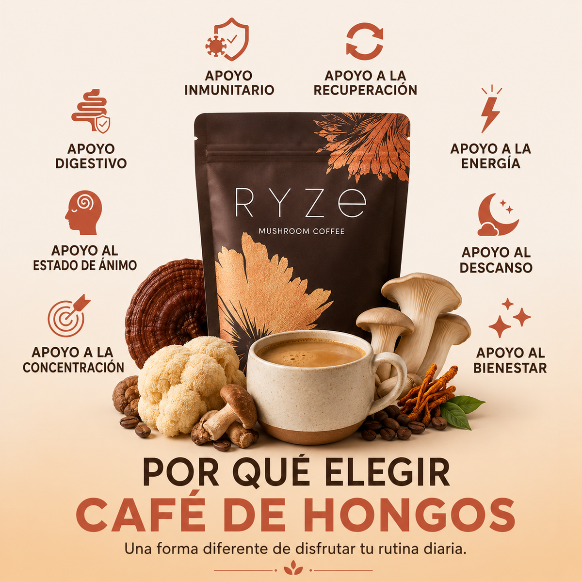 CoffeeMush | Café de Hongos