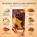 CoffeeMush | Café de Hongos
