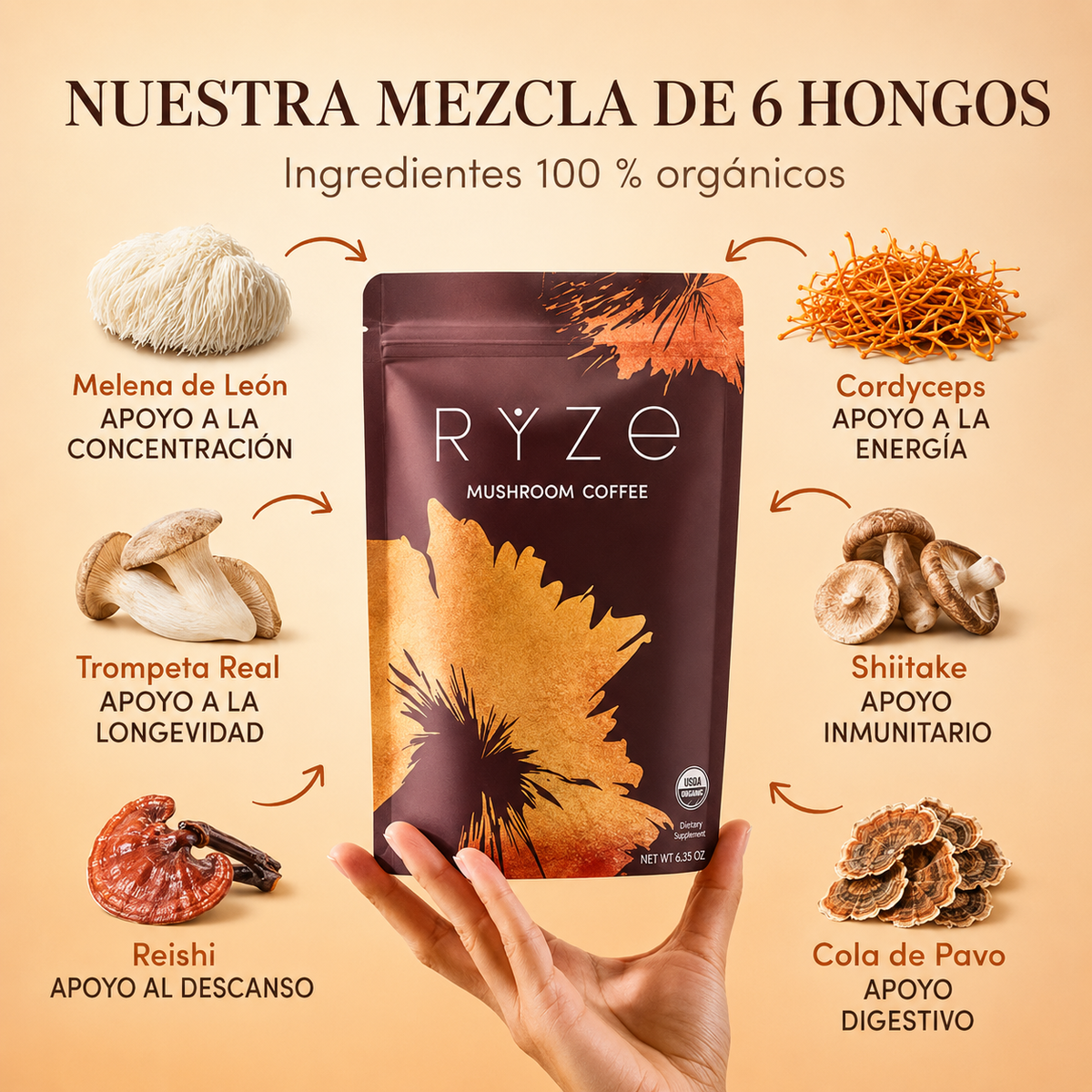 CoffeeMush | Café de Hongos