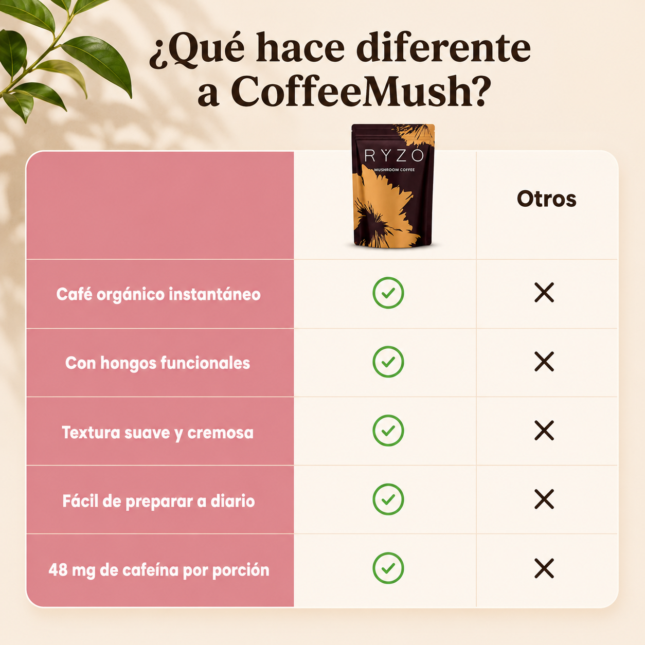 CoffeeMush | Café de Hongos