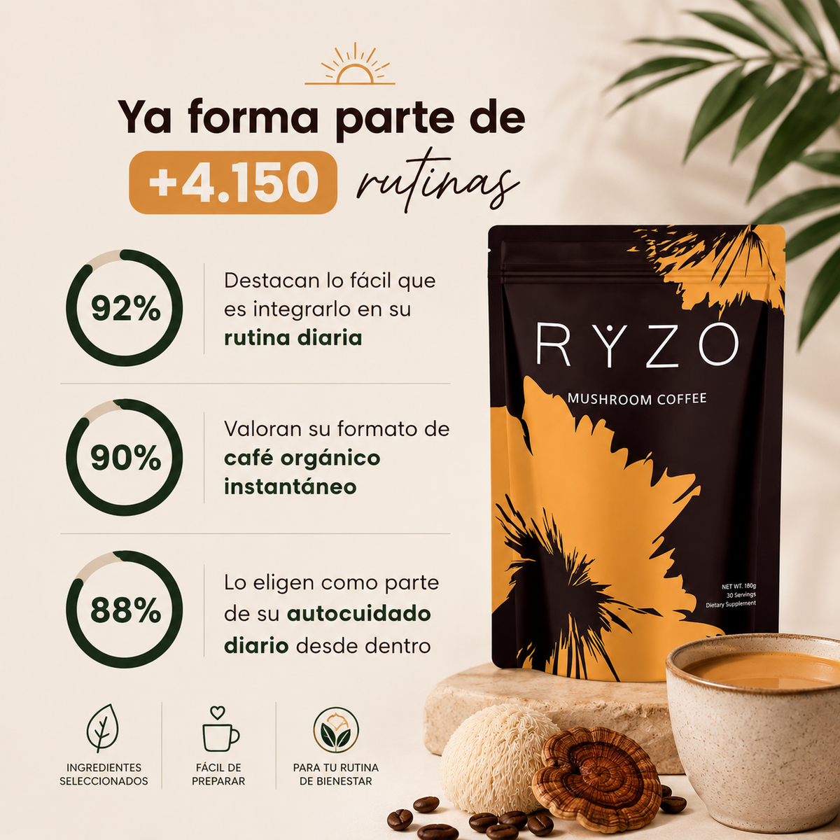 CoffeeMush | Café de Hongos