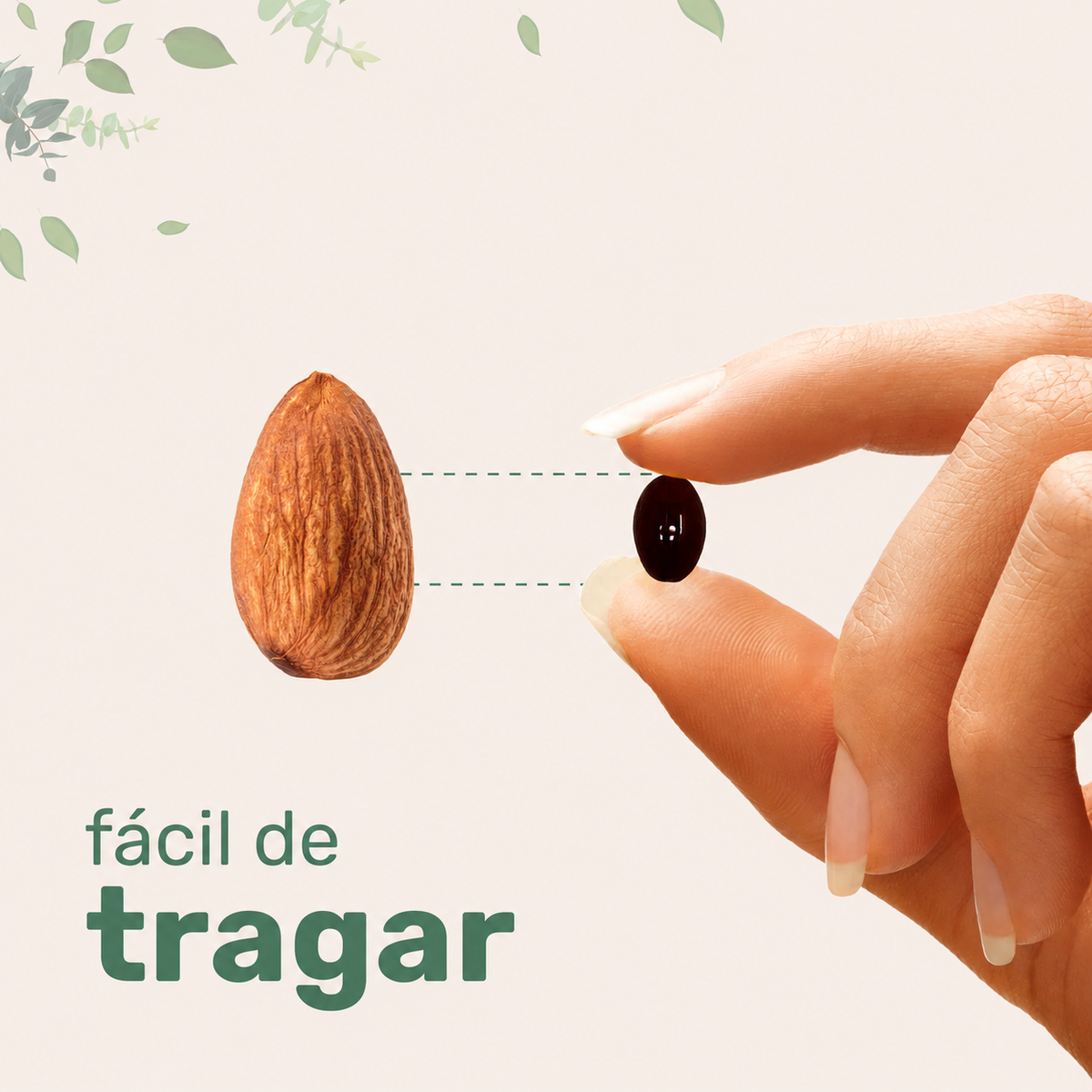 Cápsulas De Astaxantina 12 mg | Apoyo Antioxidante