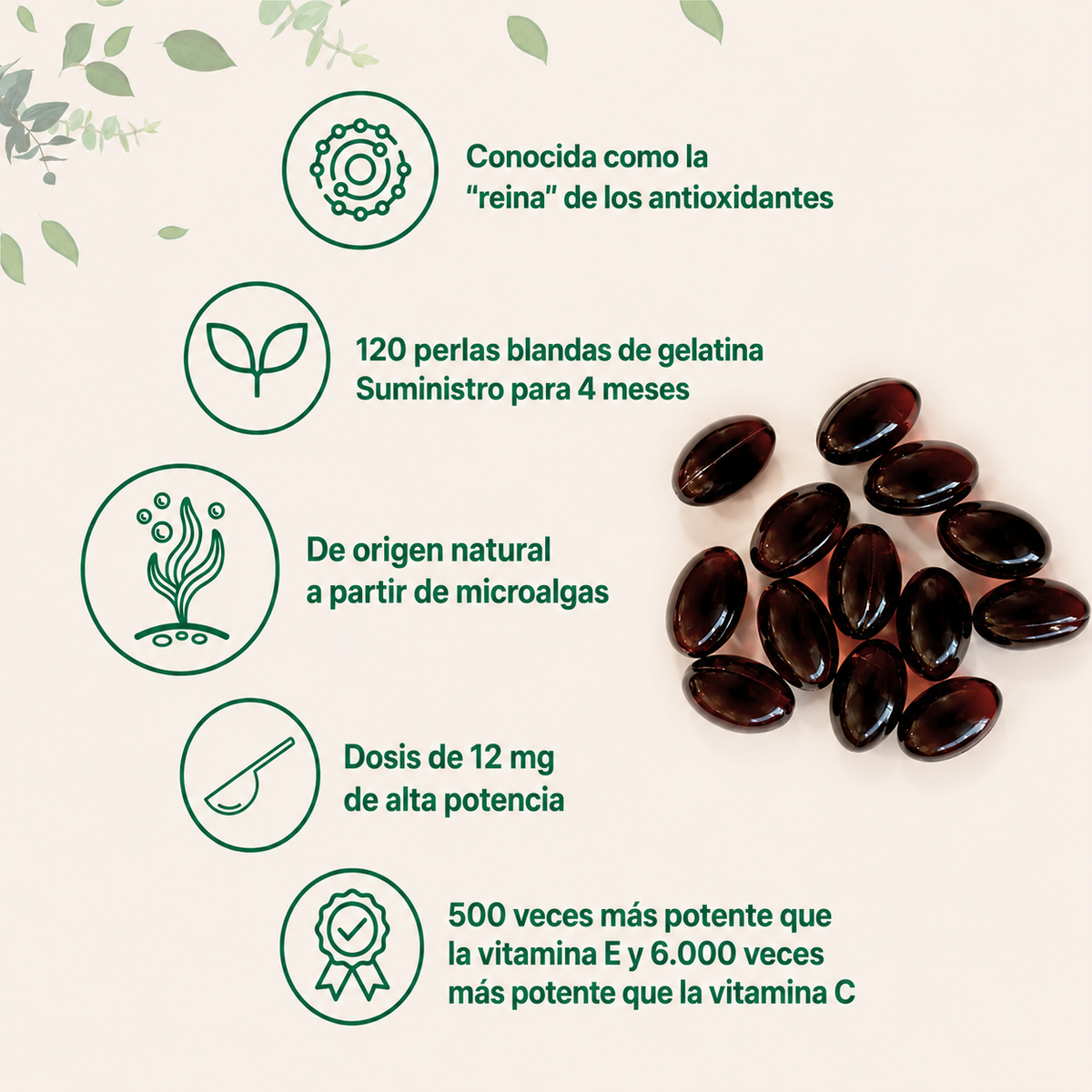Cápsulas De Astaxantina 12 mg | Apoyo Antioxidante