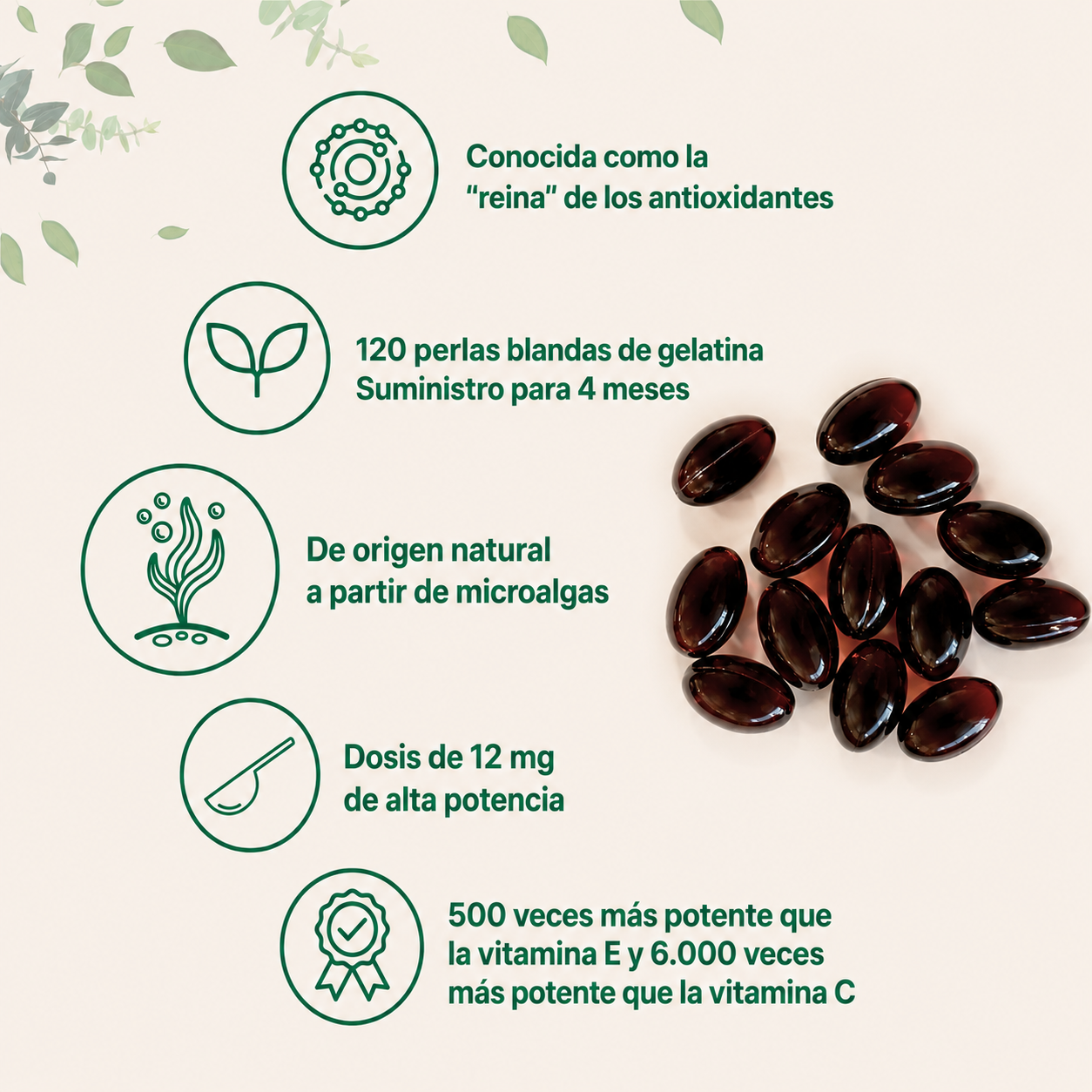 Cápsulas De Astaxantina 12 mg | Apoyo Antioxidante