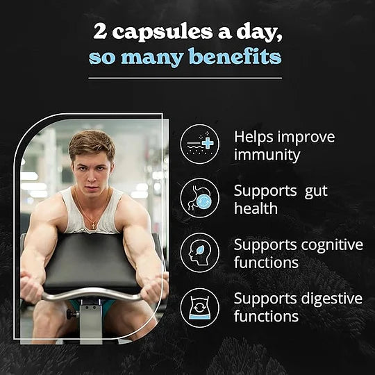 VitalMyst | Mezcla Adaptogénica con Shilajit, Musgo Marino y Hongo Melena de León